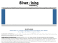 silverliningpartners.com