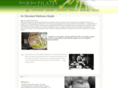 9thand9thpilates.com