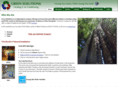 greensolutionsheating.com