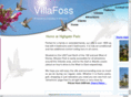 newdisneyvilla.com