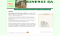 sinerginiger.com