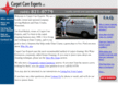 carpetcareexperts.com