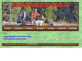 disabilinolimit.it