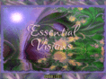 essentialvisions.com