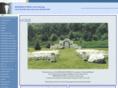 weddingssparkle.com