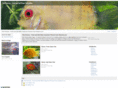fishpicts.com