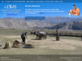 ideas-action.org