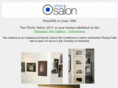 photosalon-vi.com