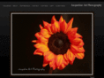 jacquelineartphotography.com