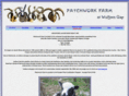 patchworkfibers.com