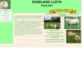 roselandlleyn.com