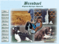 brendaelenglishspringerspaniels.com