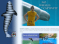 nowhalesincaptivity.com