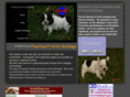 phatheadbulldogs.com