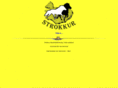 strokkur.com