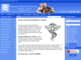 thebellevuechiropractor.com
