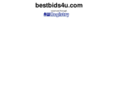 bestbids4u.com