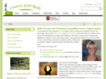 connectwithreiki.com
