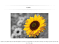 ihadith.com