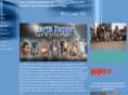 northtexasgreyline.net