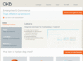 bizisurvey.com