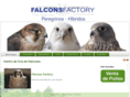 falconsfactory.com