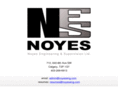 noyeseng.com