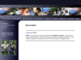 coreconsultores.com