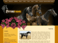 futurefarmsarabians.com