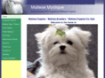 mymaltese.com