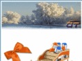 porunanavidadsinaccidentes.com