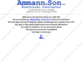 ammanninc.com