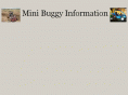 buggyinfo.com