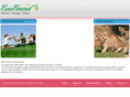 evergreensfortune.com