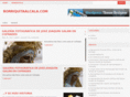 borriquitaalcala.com