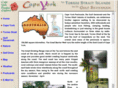 cyfe.com.au