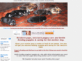 feeding-puppy-dog-food.com