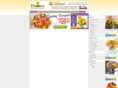 internationalflower.net