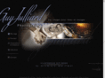 julliardphoto.com