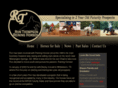 ronthompsonreininghorses.com