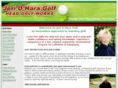 headgolfworks.com