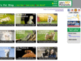 johnspetblog.com