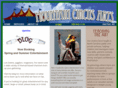 mountaincircusarts.com