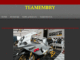 teamembry.com