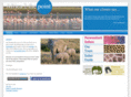 africa2thepoint.com