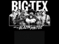 blazinpintos.com