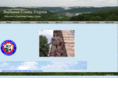 buchanancountyonline.com