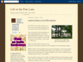 civilwarfiction.com