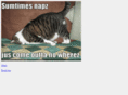itsnaptime.org