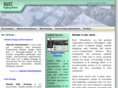 buzzinfosystems.com